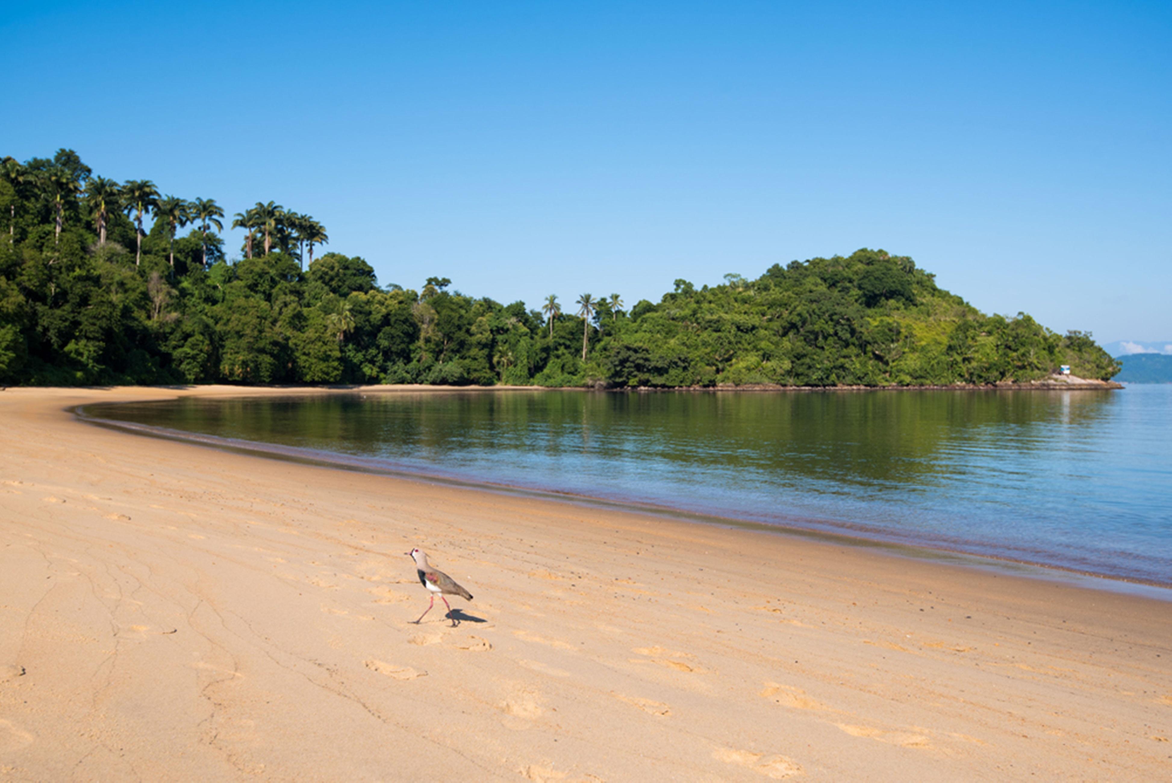 Vila Gale Eco Resort Angra Angra dos Reis Ngoại thất bức ảnh Beach at the park